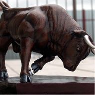 files/photo/thumbs/1368896731_190_Hy-pro-bull.jpg